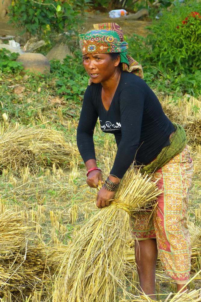 People - Barahi Jungle Lodge, Bharatpur, Nepal People - Barahi Jungle Lodge, Bharatpur, Nepal